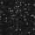 Color Black selected