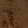 Color Caramel selected