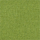 Farbe Grün ausgewählt