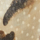 Färg Beige vald