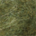 Colour Forest Green