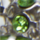 Color Green selected