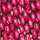 Colour Red selected