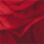 Color Red selected