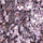 Color Lila seleccionado
