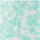 Color Turquoise selected