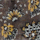 Colour Brown selected