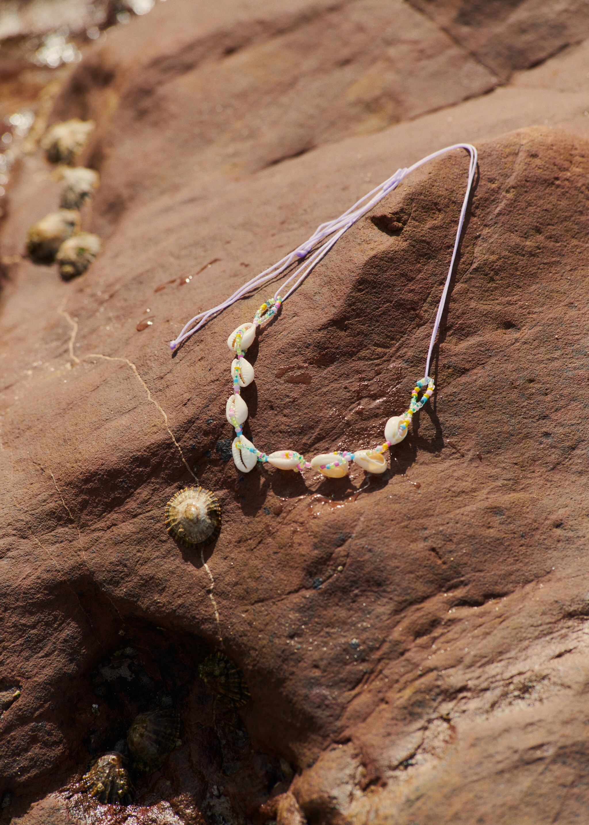 Collier coquillages - Détail de l'article 5