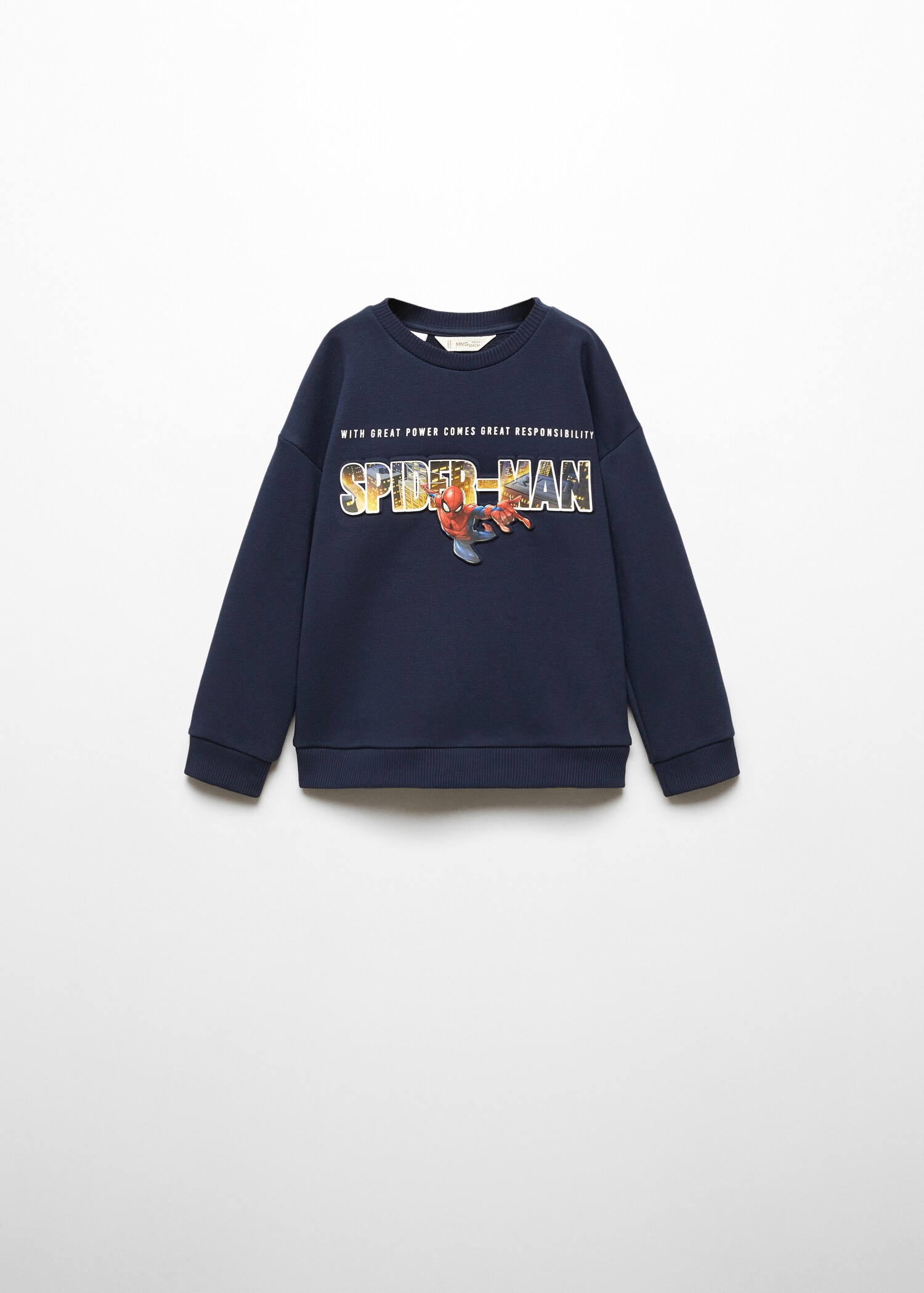 Spider-Man hoodie - Article without model