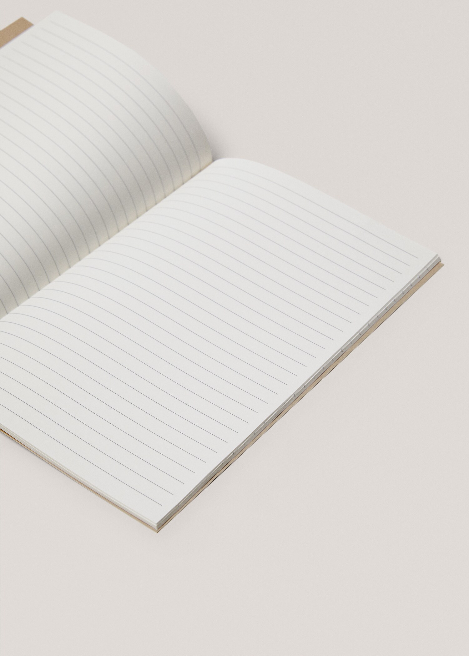 Caderno de apontamentos às riscas 28,5 x 21 cm - Pormenor do artigo 2