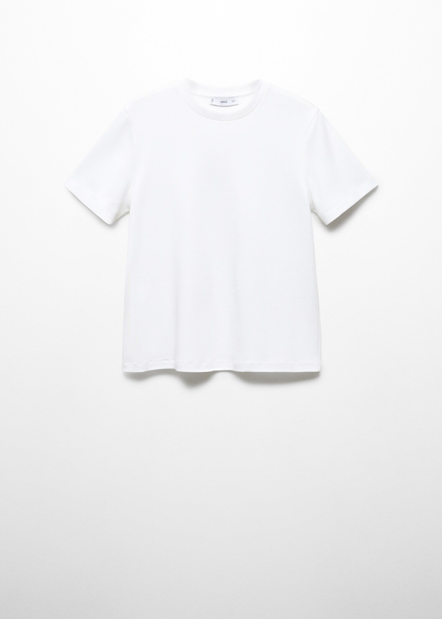 Premium cotton t-shirt - Article without model