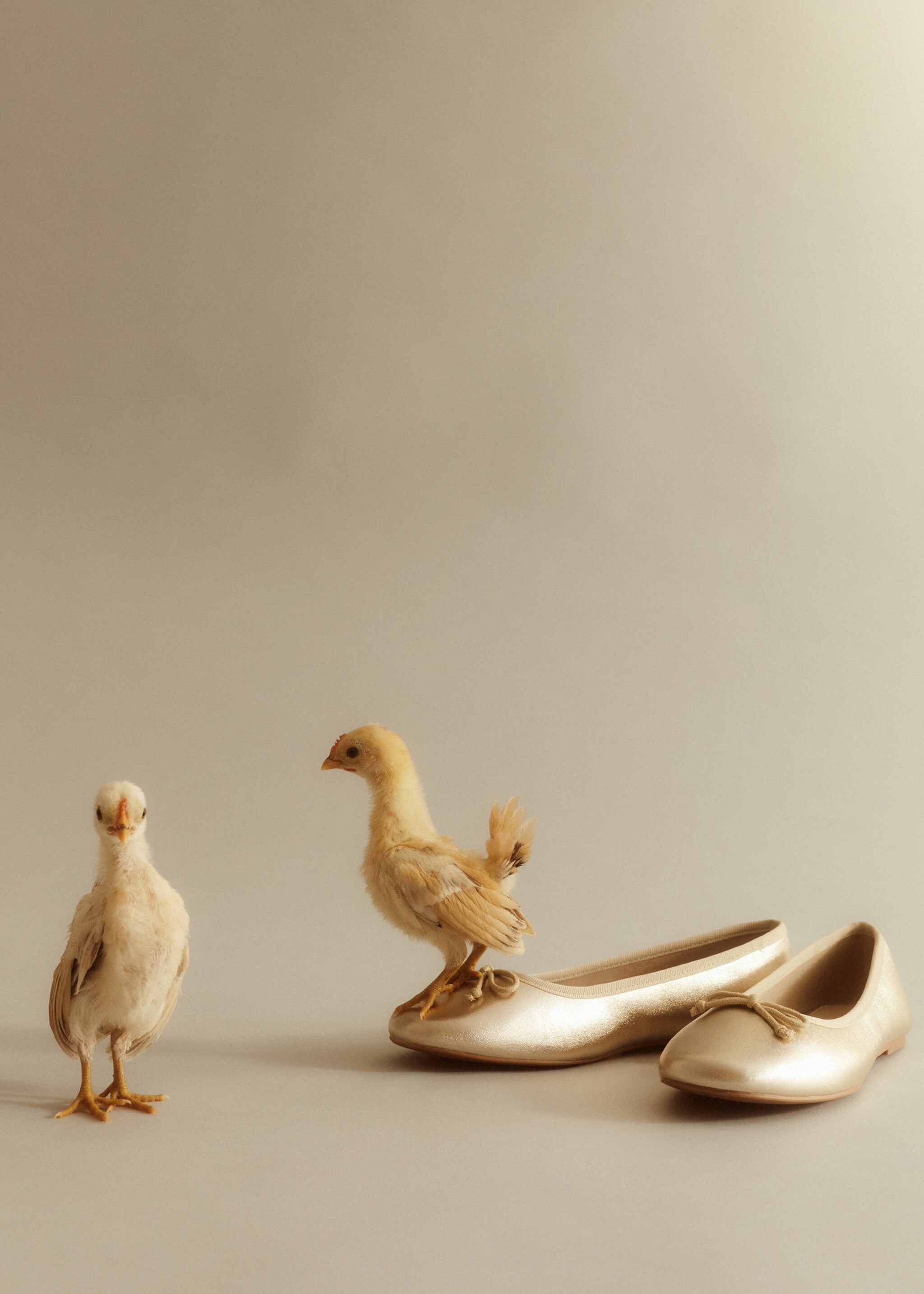 Ballerines nœud - Détail de l'article 8