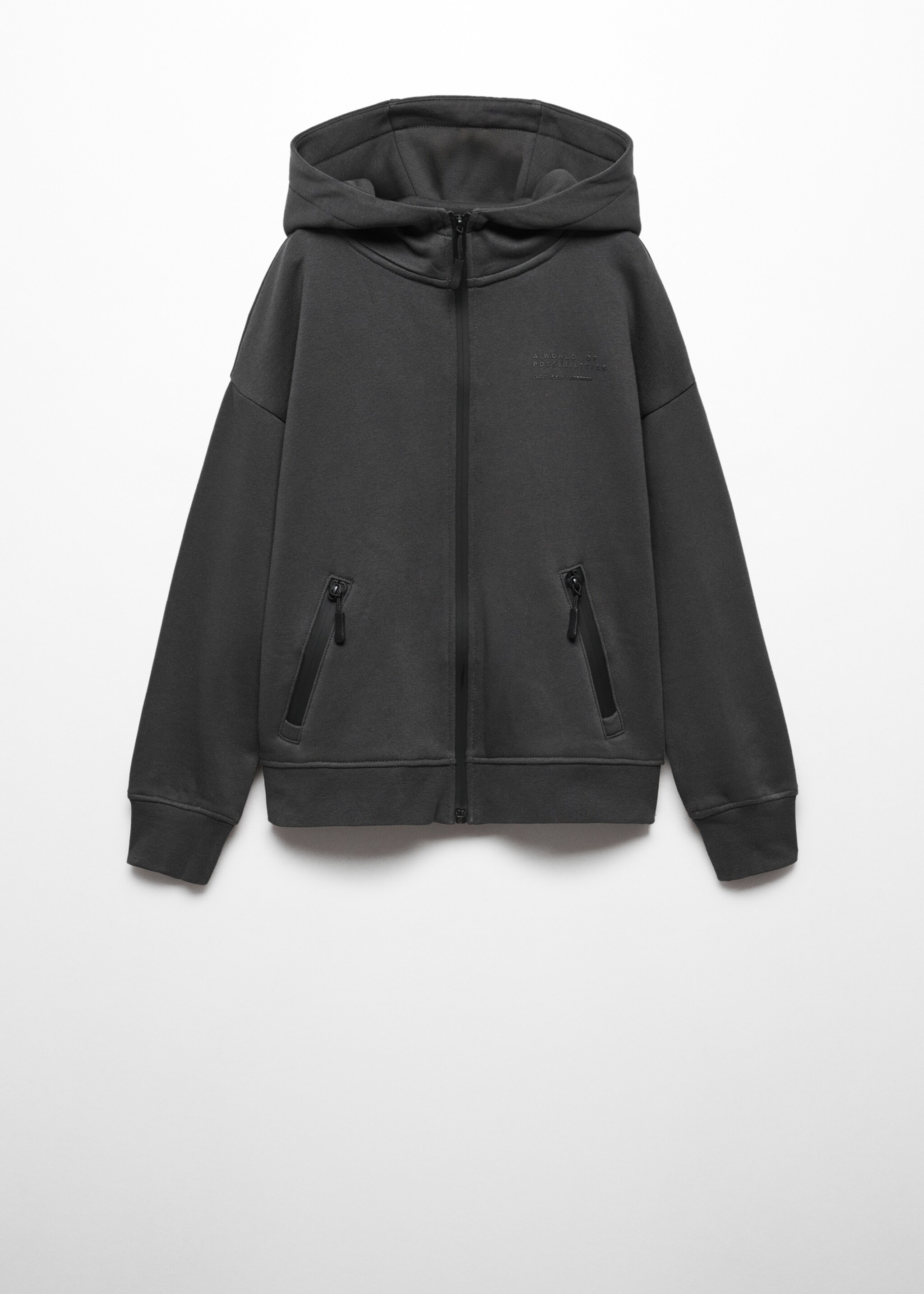 Zipped hoodie - Article without model, Charcoal. Ref: 57037732-00.