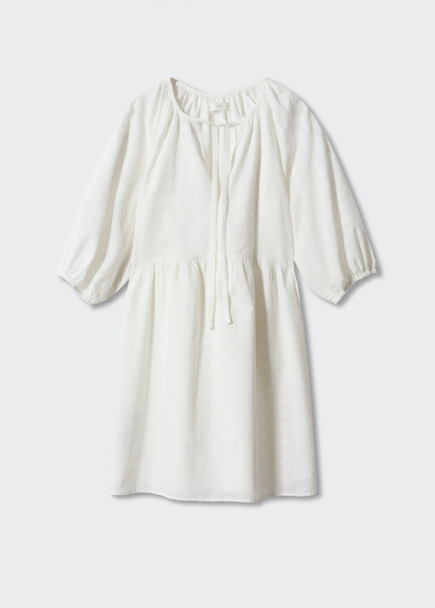Puff-sleeved embroidered dress - Article without model