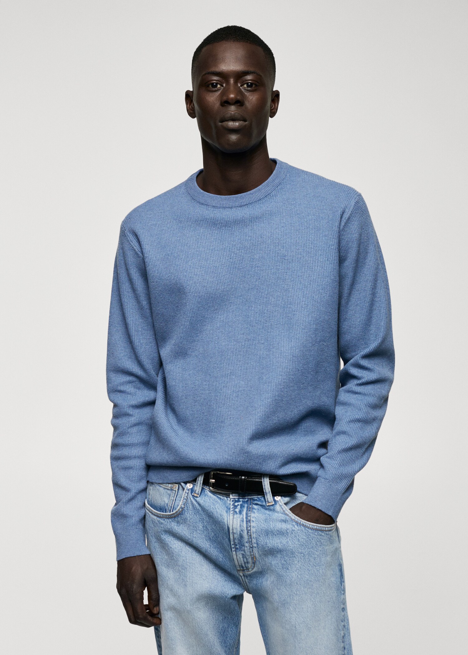 Structured cotton sweater - Medium plane