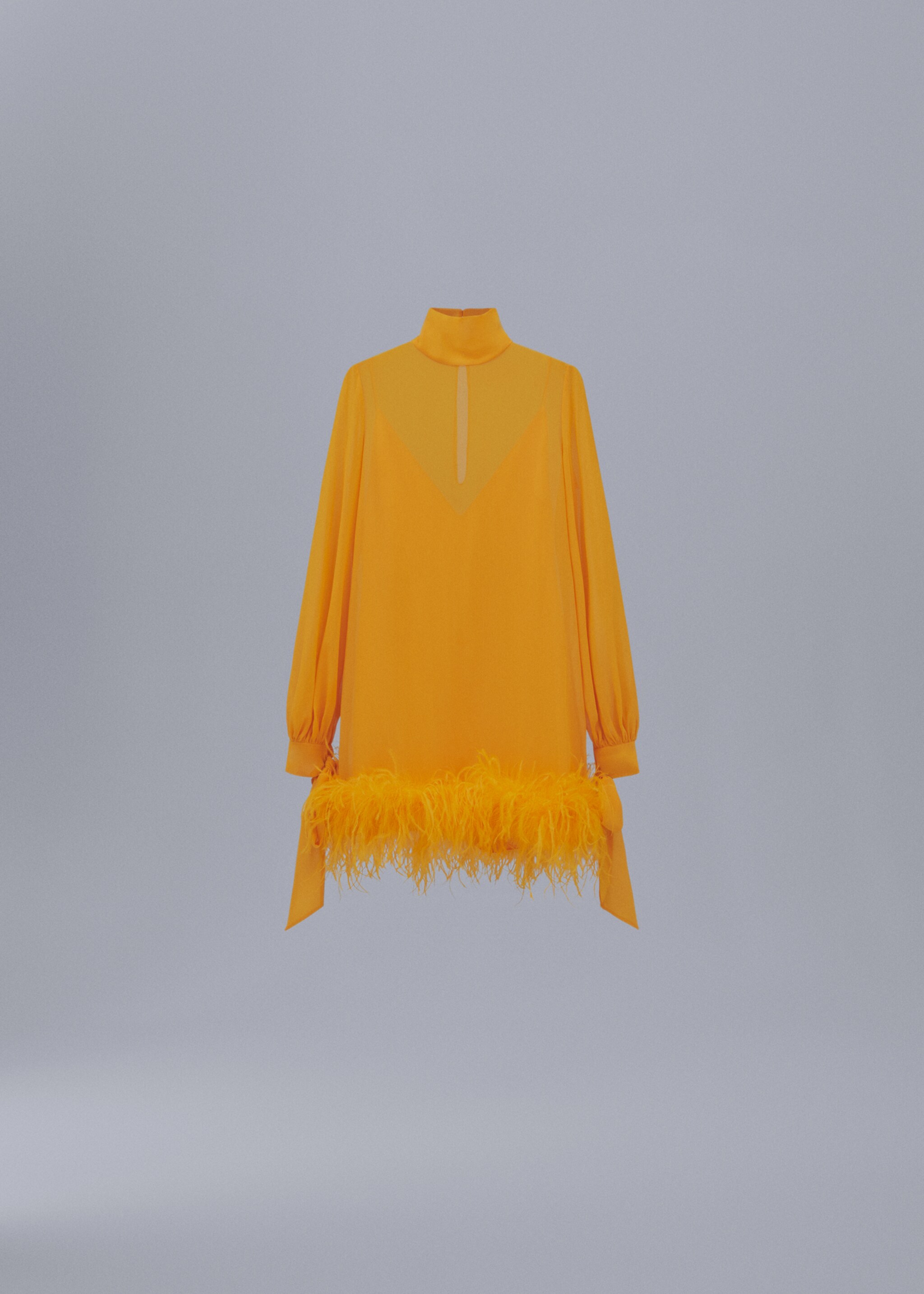 Semi-transparent feather dress - Article without model