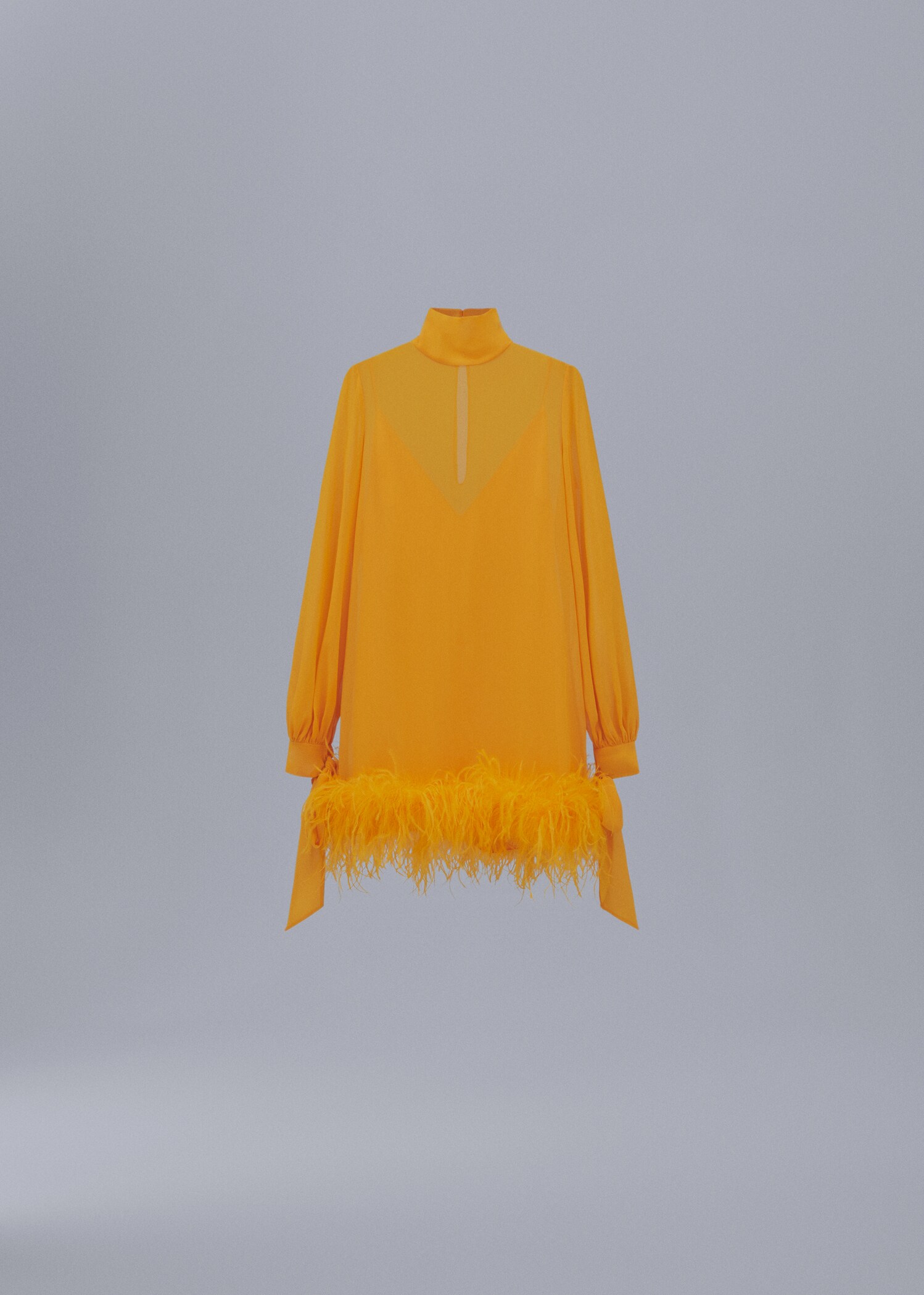 Semi-transparent feather dress - Article without model
