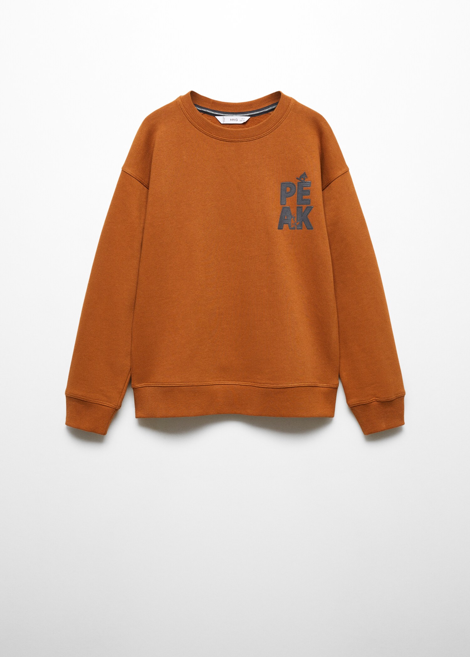 Sweatshirt mit aufgesticktem Schriftzug - Artikel ohne Model