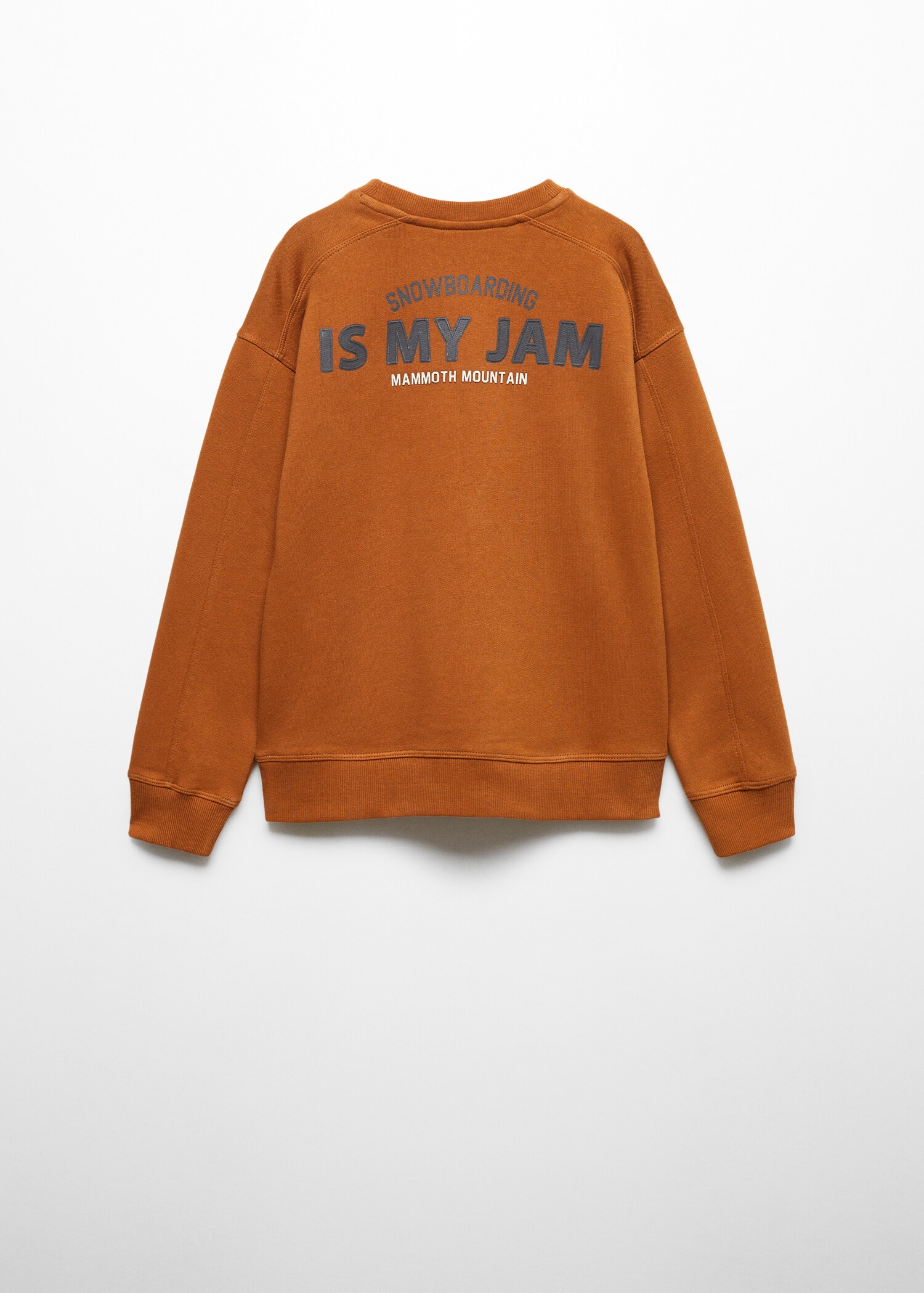 Sweatshirt mit aufgesticktem Schriftzug - Rückseite des Artikels