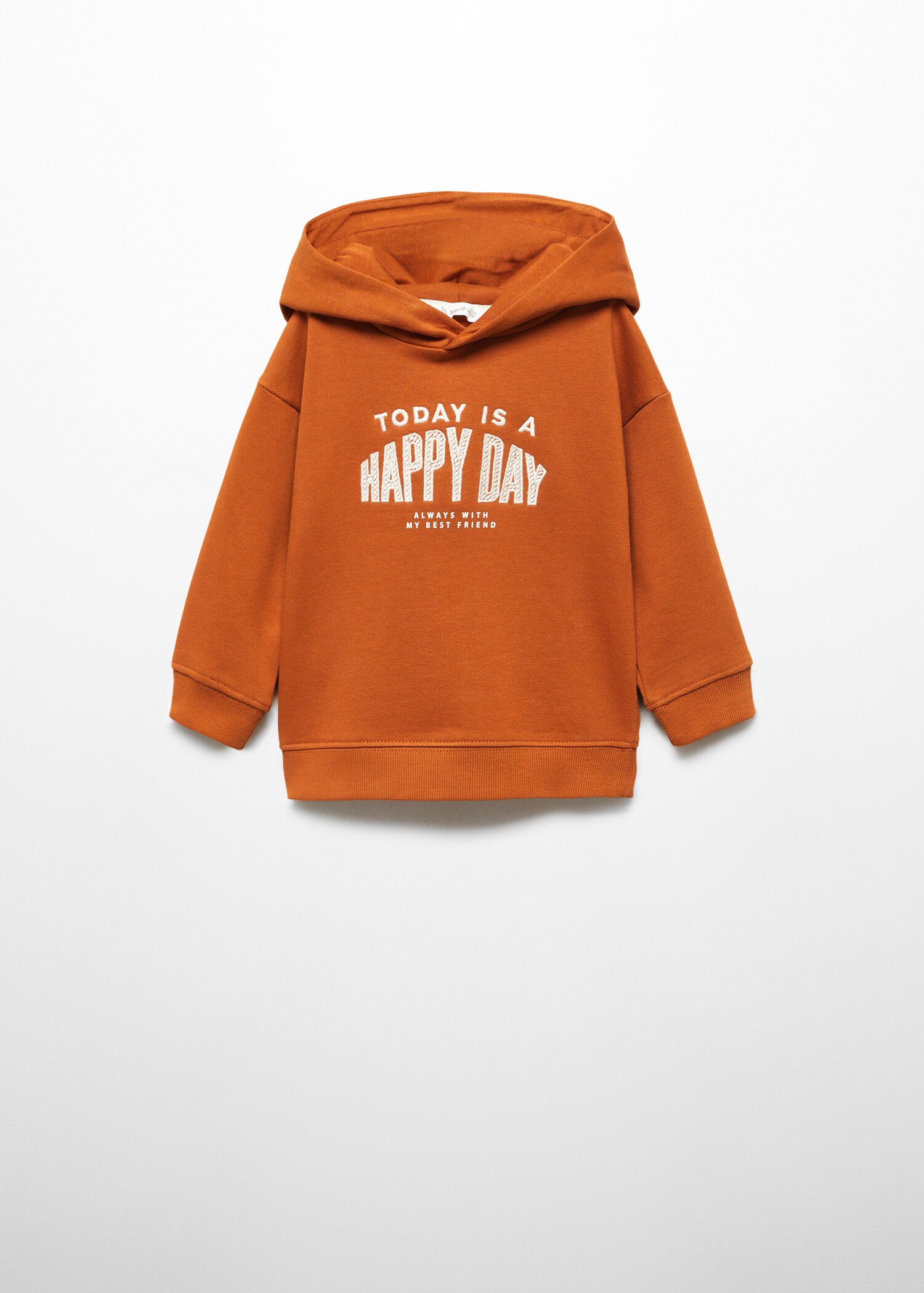 Sweat-shirt capuche broderie - Article sans modèle