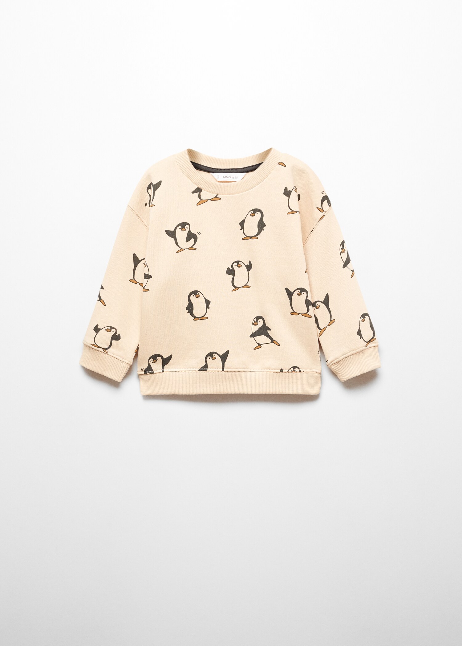 Brushed cotton sweatshirt - Article without model