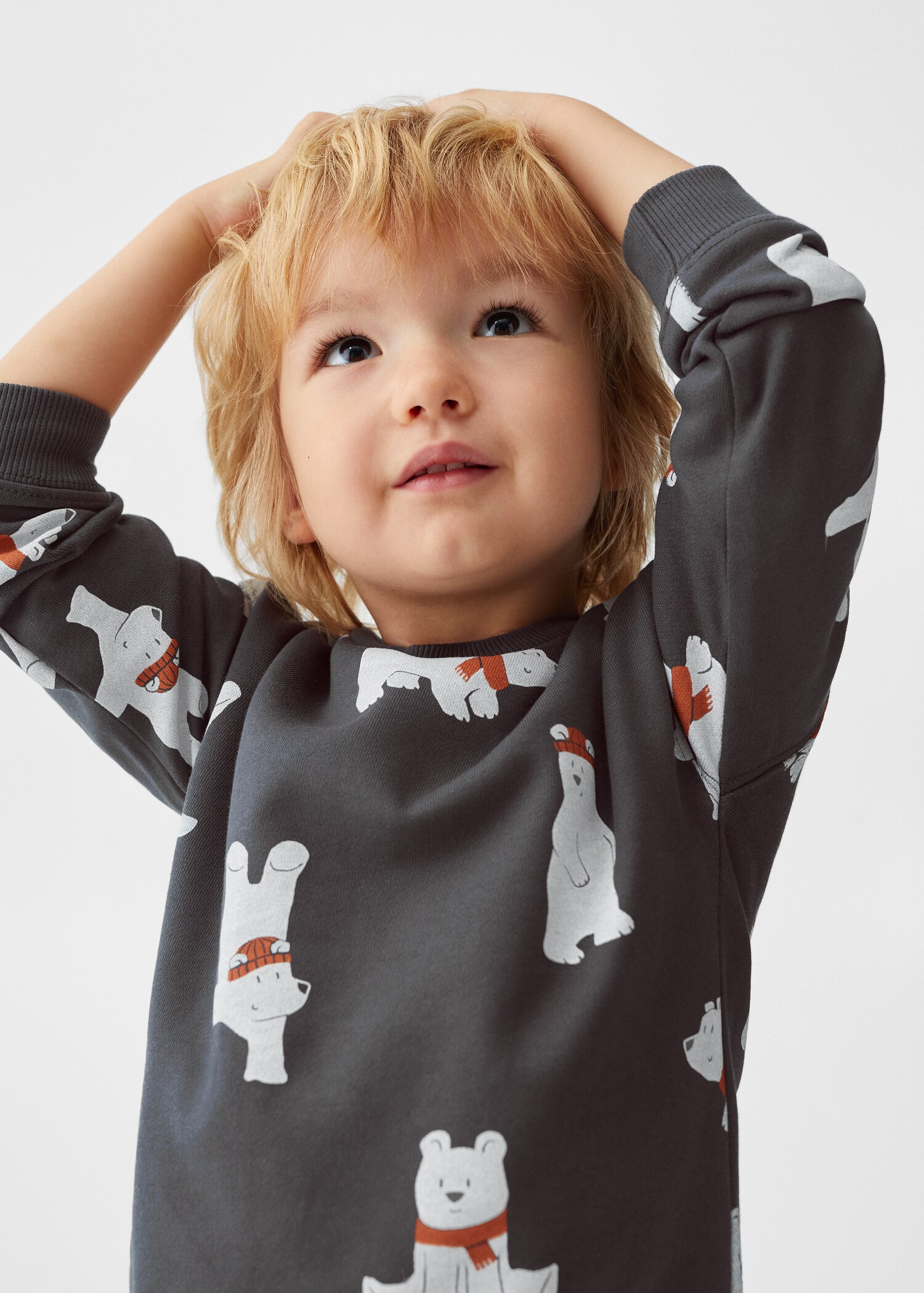 Brushed cotton sweatshirt - Details of the article 1