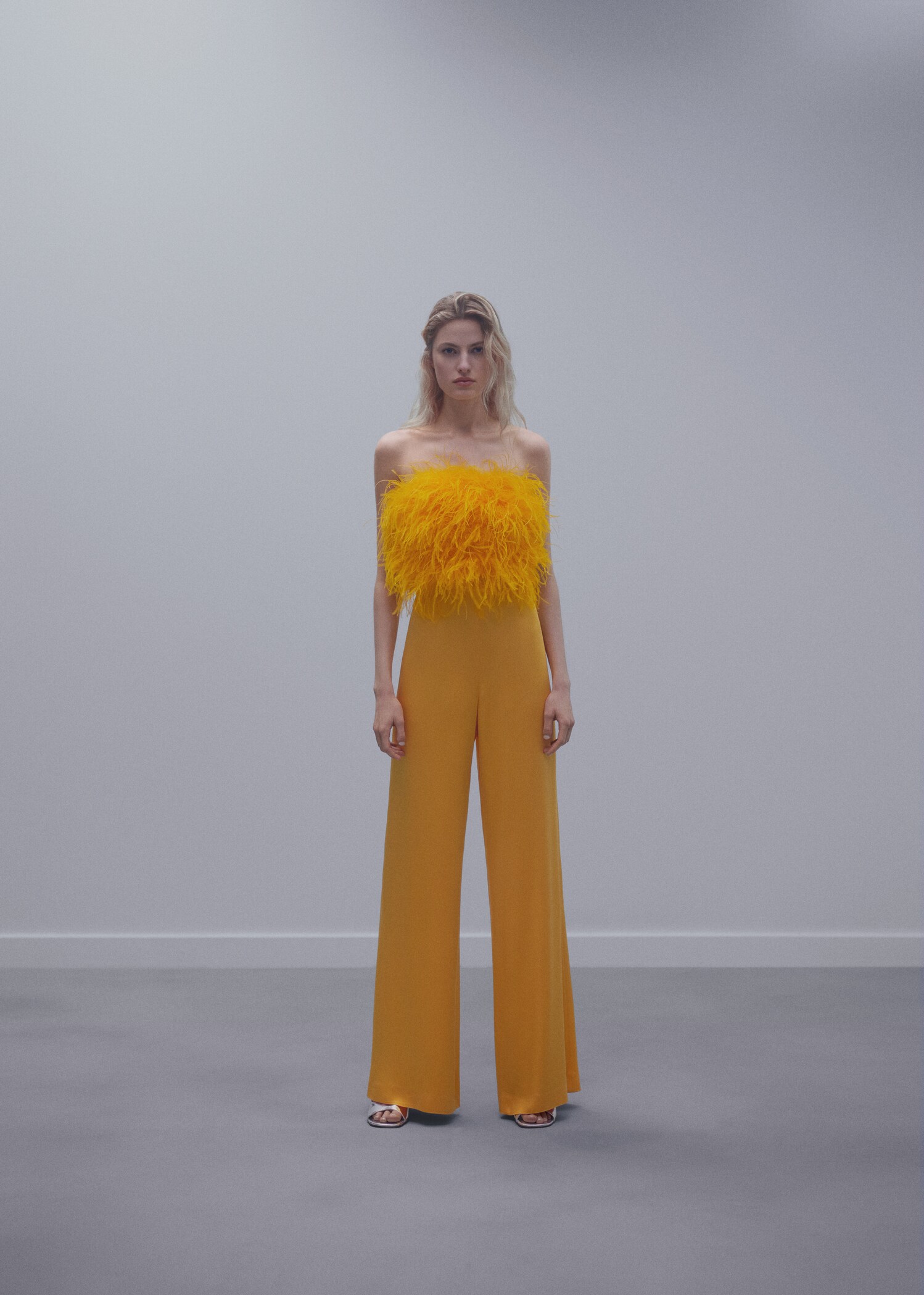 Top bandeau plumes - Plan général