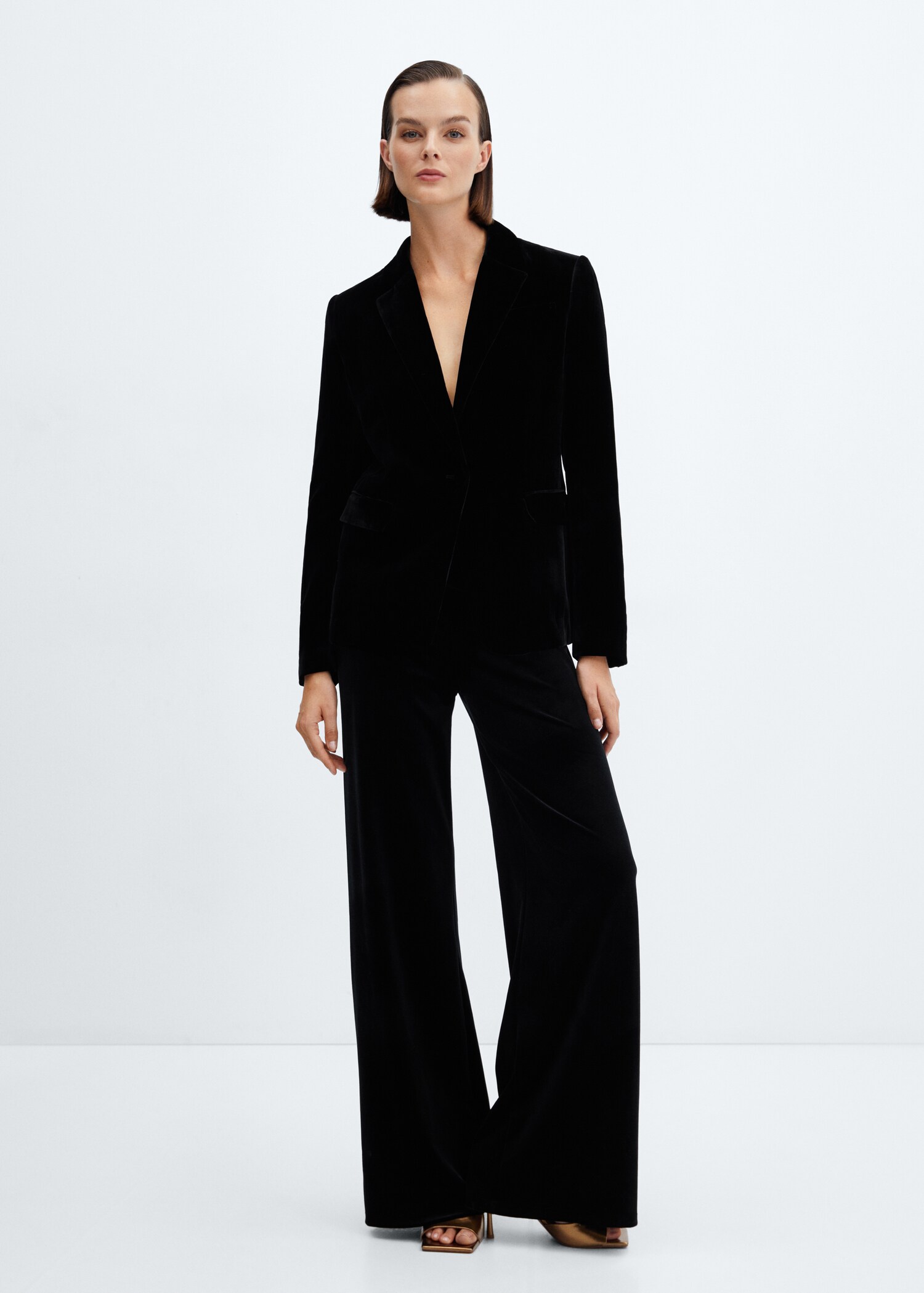 Velvet wide-leg pants - General plane