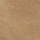 Couleur Beige