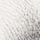 Color Plata seleccionado