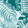Colour Aqua Green selected