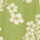 Colour Green selected