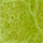 Couleur Citron vert sélectionnée