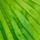 Couleur Vert sélectionnée