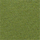 Color Green selected