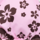 Colour Pink selected