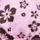 Color Pink selected