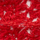 Color Red selected