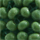 Colour Green selected
