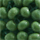 Colour Green selected