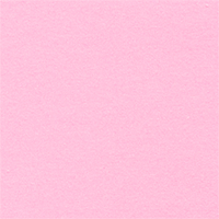 81