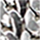 Color Plata seleccionado
