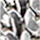 Colour Silver selected