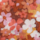 Couleur Rose sélectionnée