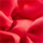 Couleur Rouge sélectionnée