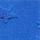 Couleur Bleu électrique sélectionnée