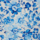 Colour Blue selected