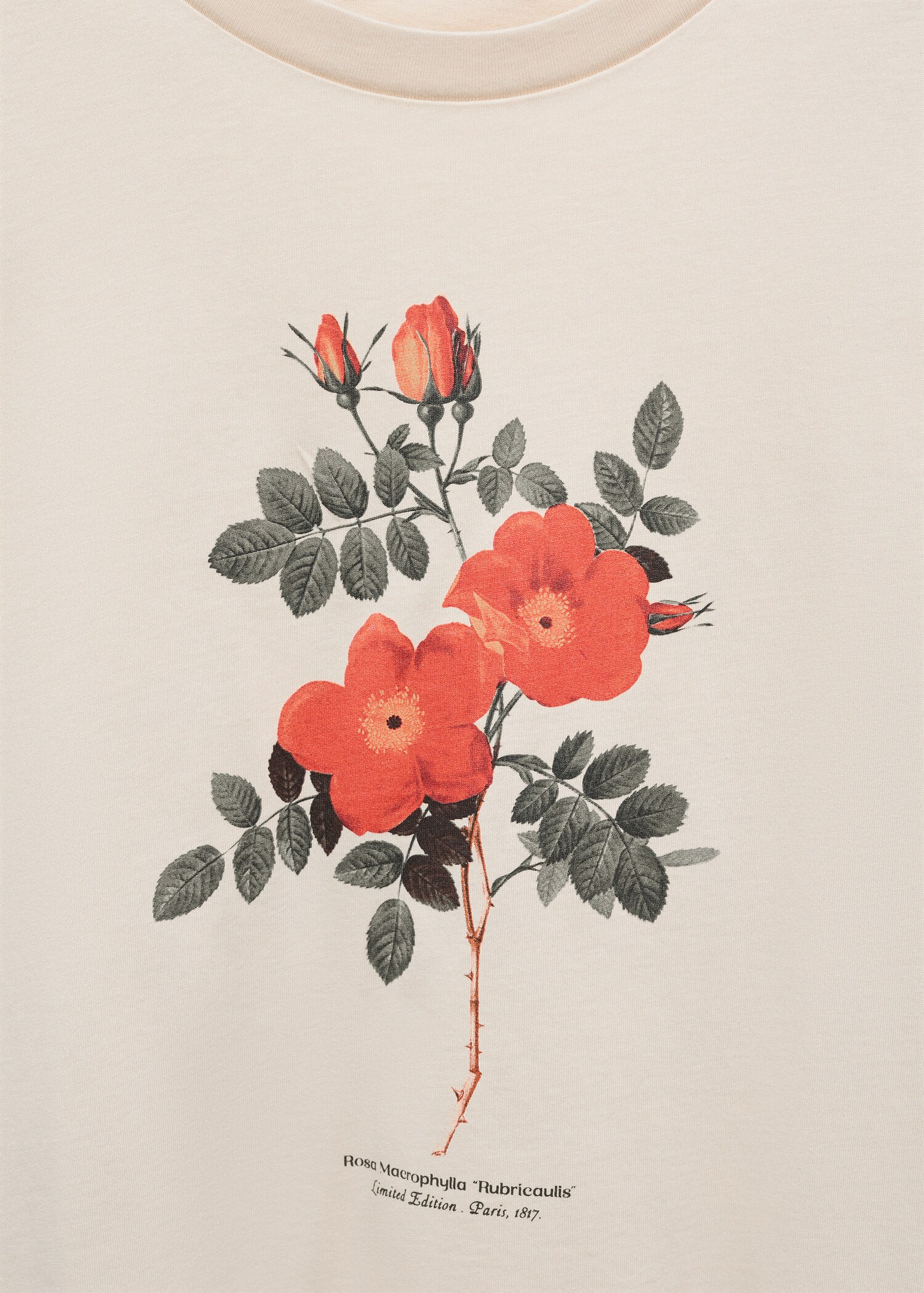 Printed cotton-blend t-shirt - Details of the article 8