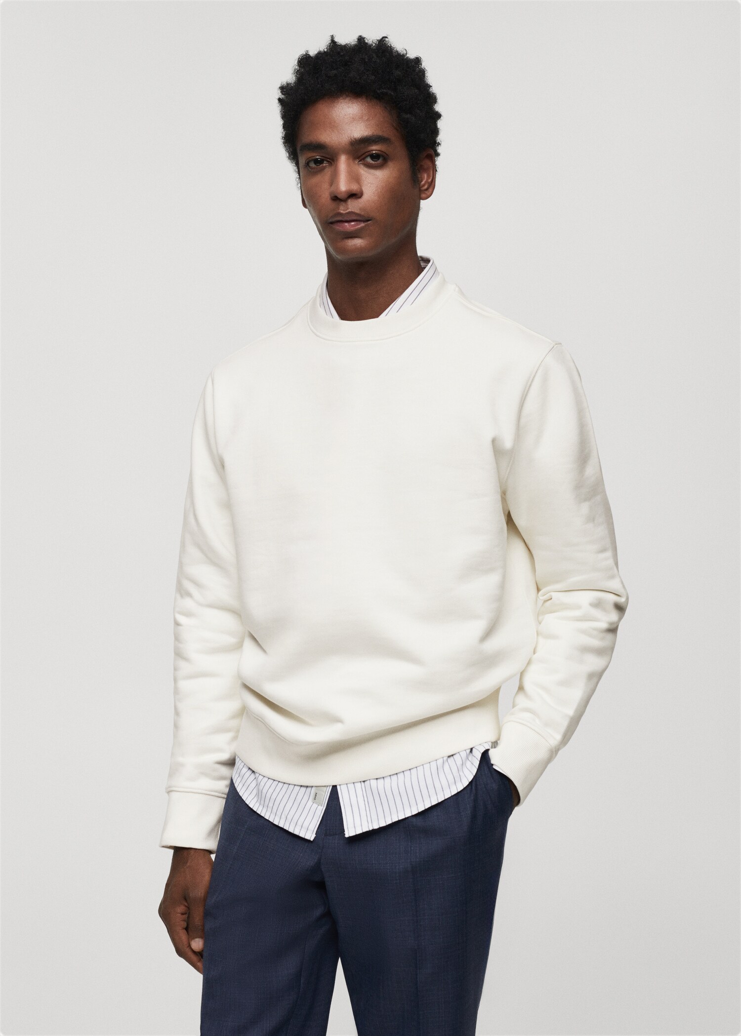 100% cotton basic sweatshirt - Medium plane