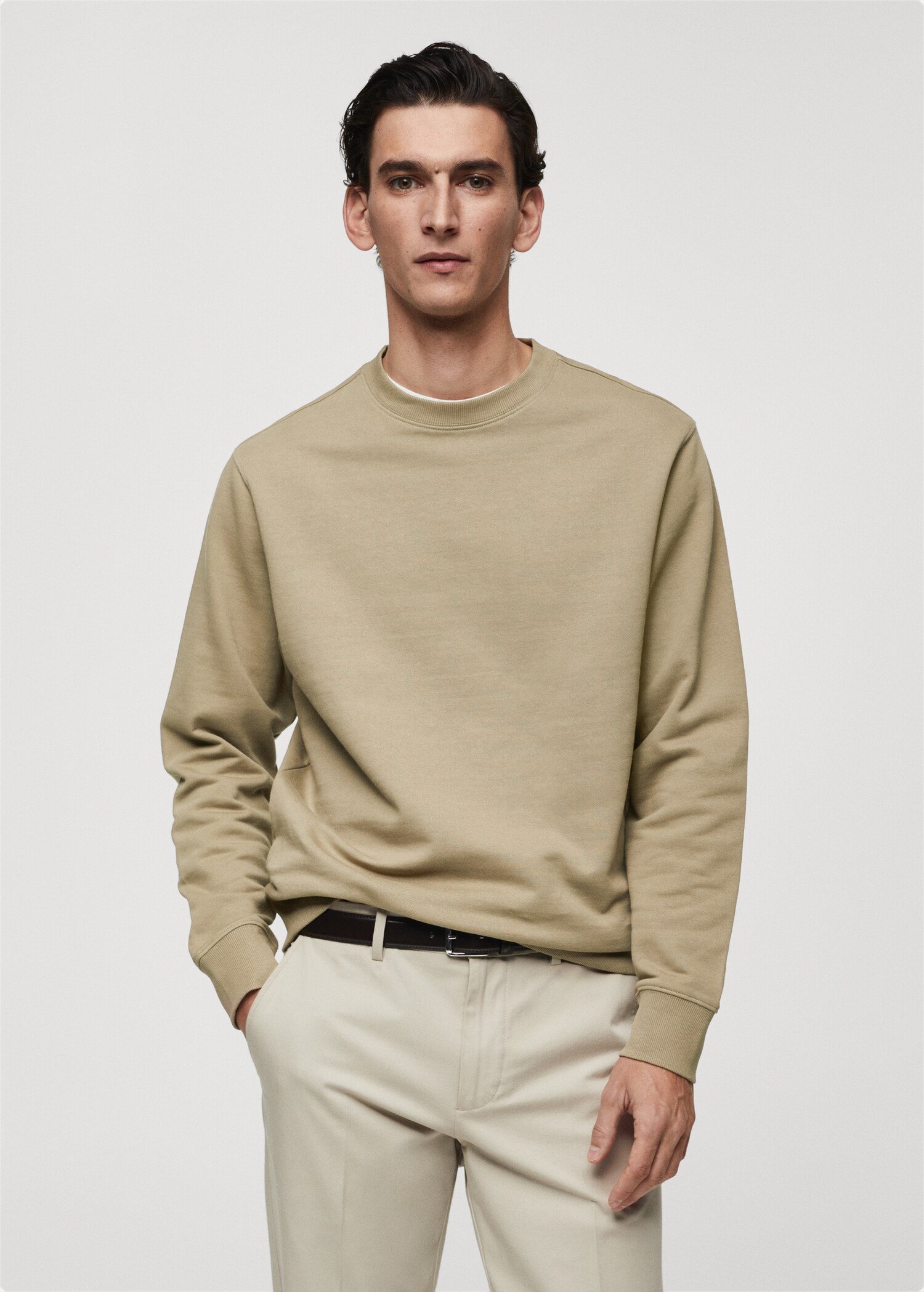100% cotton basic sweatshirt - Medium plane